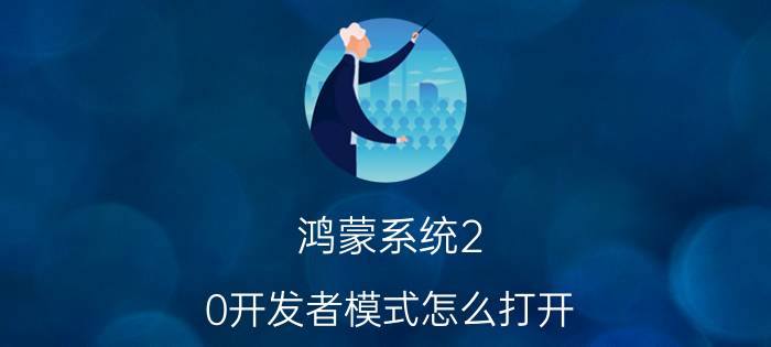 鸿蒙系统2.0开发者模式怎么打开 鸿蒙os2.0开发者模式？